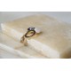 Anello AP R6